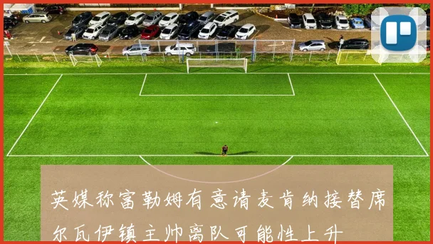 英媒称富勒姆有意请麦肯纳接替席尔瓦伊镇主帅离队可能性上升
